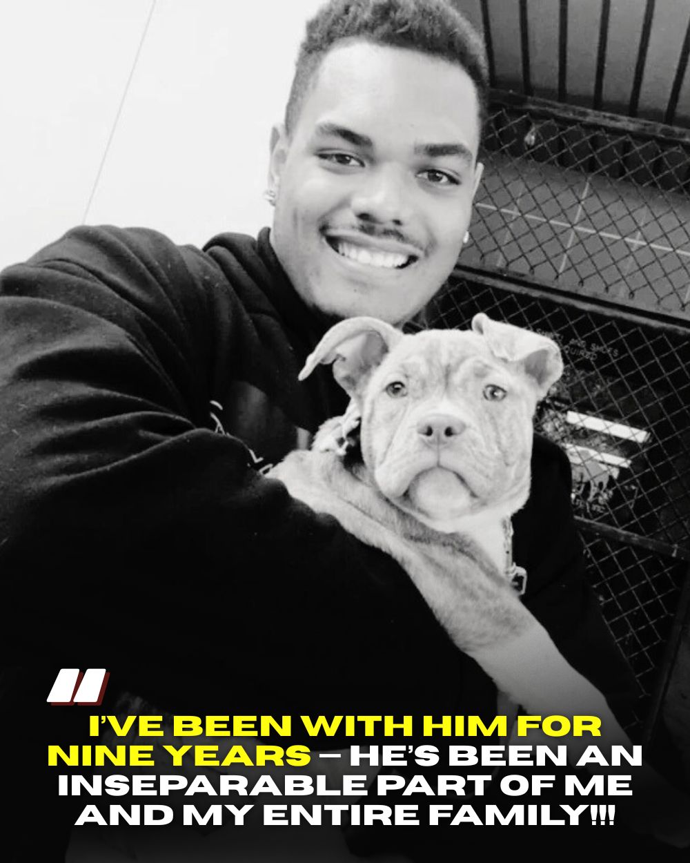 HEARTBREAK: Ravens Star Collapses After Beloved Dog Dies Following a Month-Long Battle With Deadly Illness .Vl